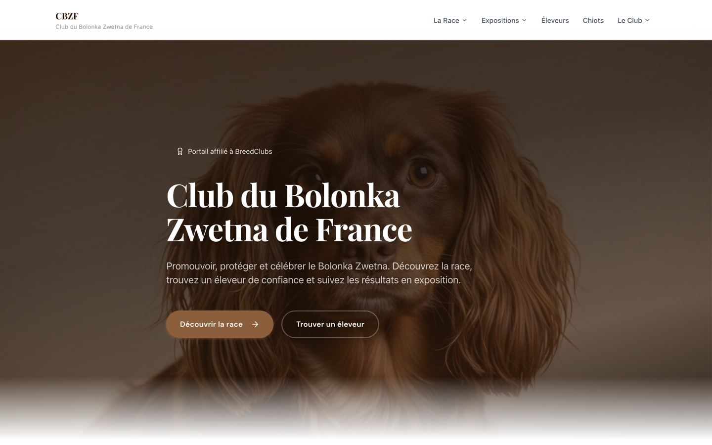 Capture du site Club du Bolonka Zwetna de France
