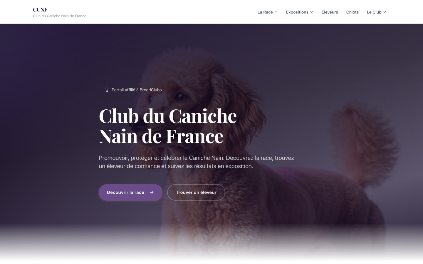 Capture du site Club du Caniche Nain de France