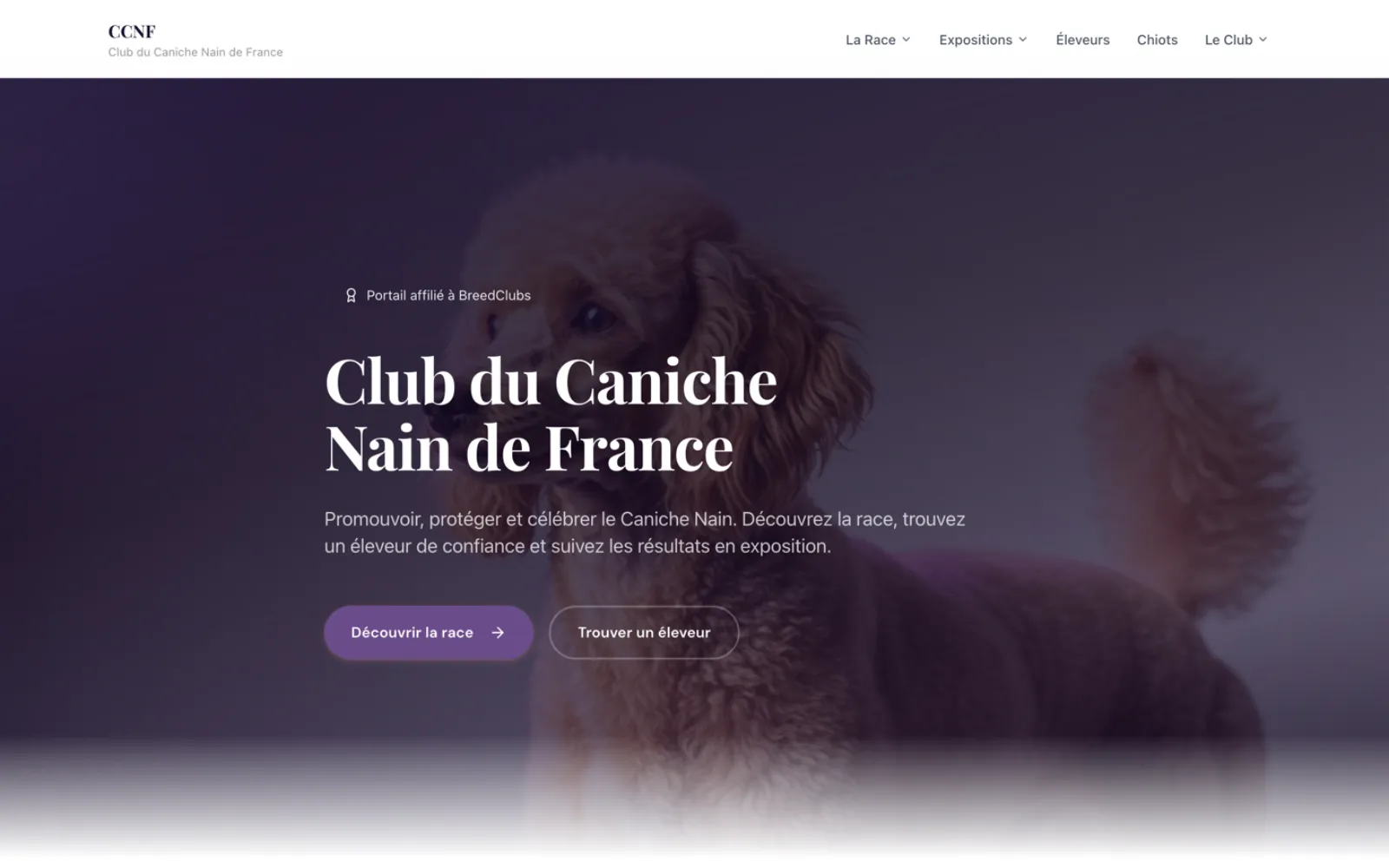 Capture du site Club du Caniche Nain de France
