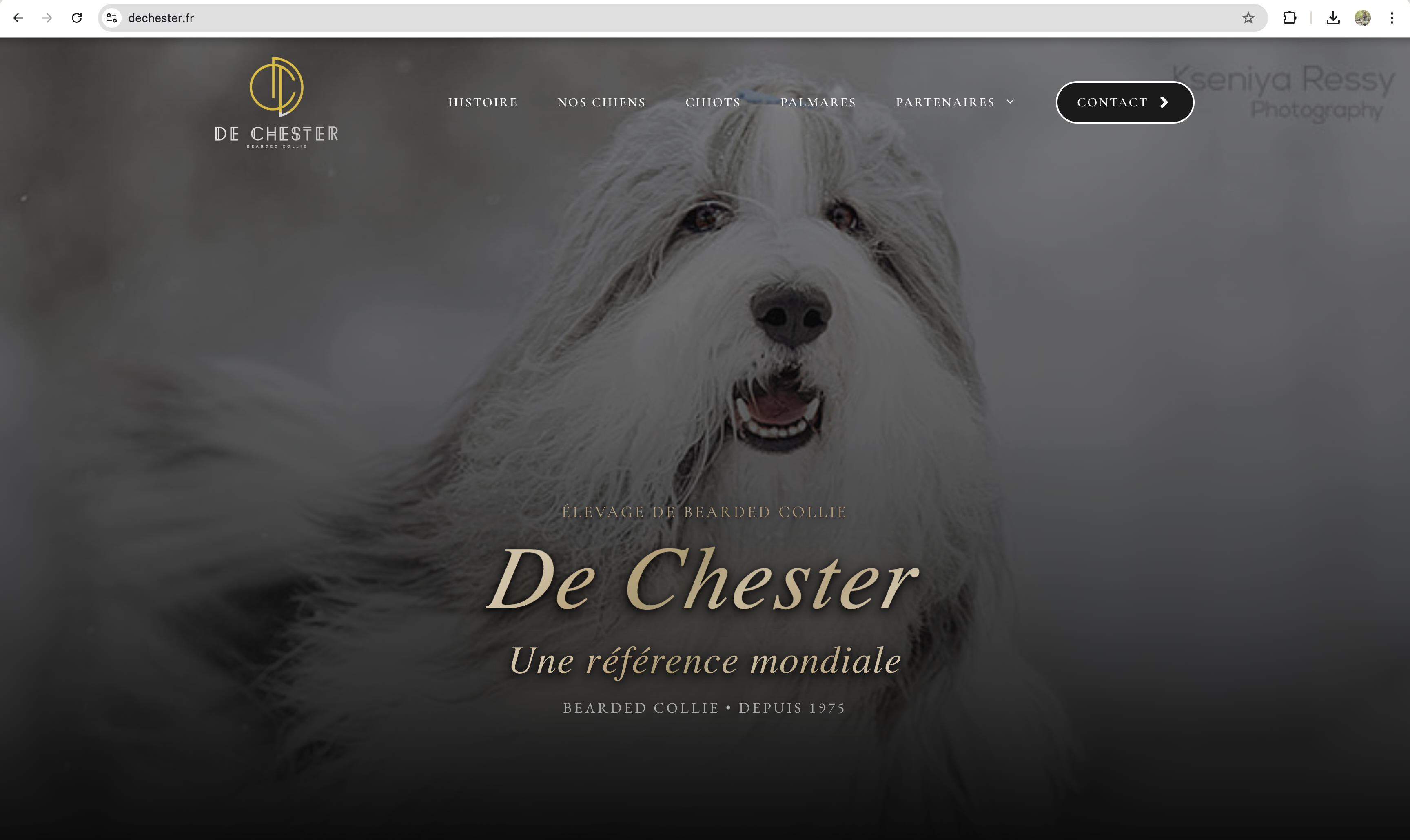 Conversation Messenger — Jean-Paul Bernardi partage les retours émouvants sur le site De Chester