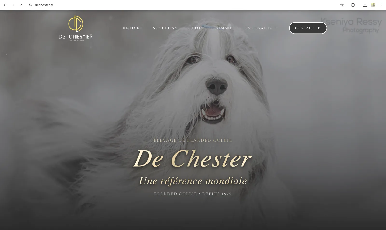 Capture du site Élevage De Chester