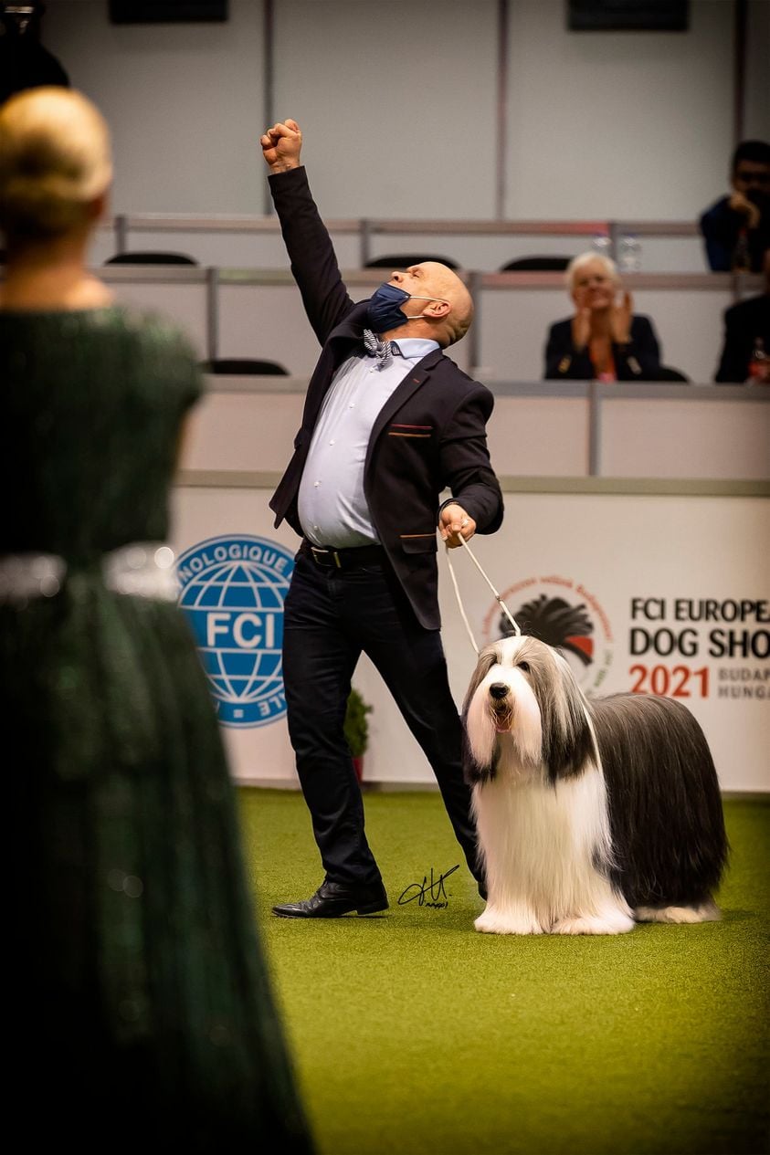 Jean-Paul Bernardi — Élevage De Chester — 50 ans d'excellence en Bearded Collie