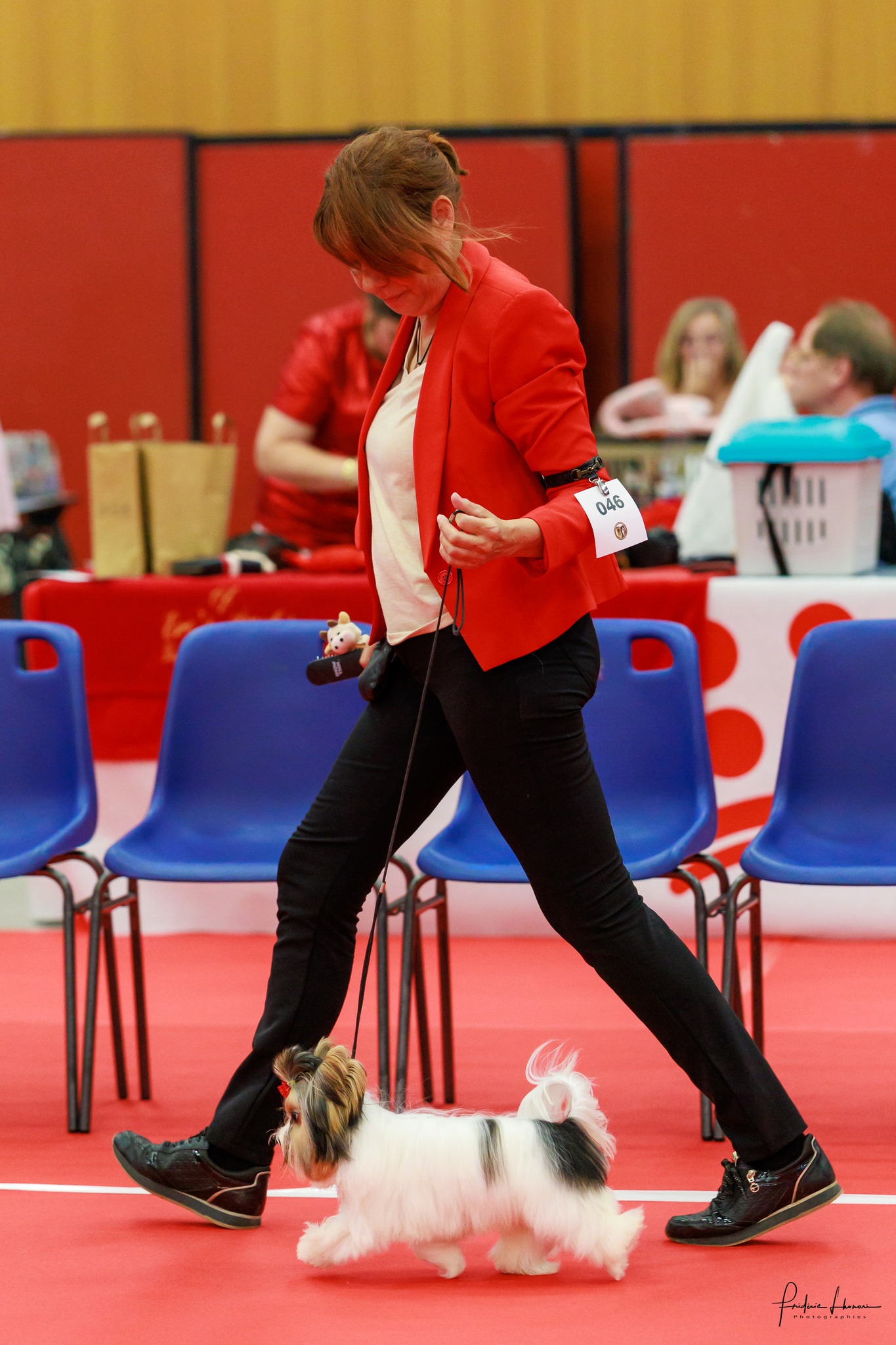 Nathalie Touretta — Élevage Baian Khara, Biewer Terrier