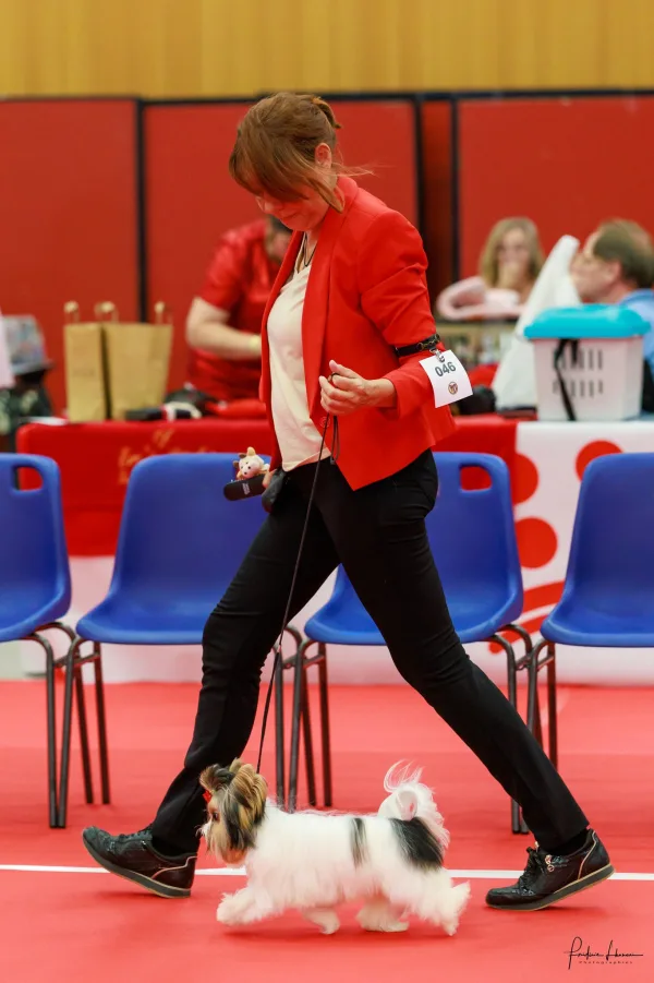 Nathalie Touretta — Éleveuse mondialement reconnue, Bois des Ternes et Baian Khara